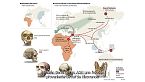 Un amor sin precedentes: La increíble familia interracial de Neandertal y Denisovano