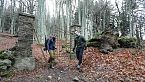 Fra Artico e foreste: l'interpretazione fotografica
