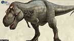 Gli stadi di crescita di T. rex - I mustelidi giganti dominatori del Sudafrica - Science News