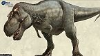 Gli stadi di crescita di T. rex - I mustelidi giganti dominatori del Sudafrica - Science News