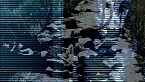 Blue Whale - Un 'gioco' malato