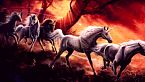 El Unicornio: Los magníficos caballos mitológicos - Bestiário mitológico