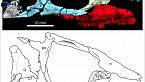 Un oviraptor con due dita - Il DNA neandertaliano ci rende più sensibili al Covid - Science New