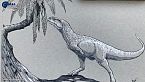 Nuovo dinosauro Abelisauride 'fantasma' - Un buco nero che divora una stella - Science News