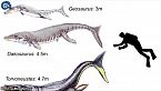 Dakosaurus: il Godzilla dei mari giurassici