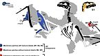 I dinosauri Scansoriopterigidi non volavano - Nuove tracce d'acqua sulla Luna - Science News
