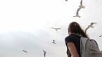 L'invenzione degli aeroplani - Curiosità storiche