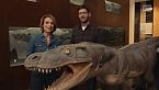 L'apocalisse dei dinosauri, l'ultimo giorno - Il Giardino di Albert - RSI Info