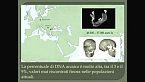 DNA antico, la nuova chiave di lettura dell’evoluzione umana