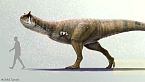 Carnotaurus: il toro carnivoro