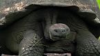 Criaturas extrañas, paisajes impresionantes - Las salvajes Galápagos