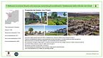 Le città si raccontano - Conferenza Green City 2024