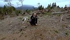 Uomini e boschi (pt.26) - La rinnovazione naturale del bosco