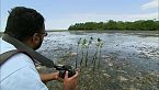Descubriendo Tanzania: la vida silvestre de cerca