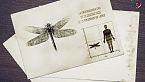 El depredador más exitoso de la Tierra