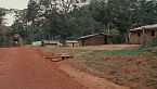 Pigmeos Baka: la tribu más pequeña del mundo