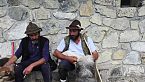 Convivere con l'orso: Paolo Pe, un pastore sul Valandro
