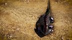 L'era dimenticata: Cosa accadde veramente quando apparvero i dinosauri?