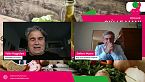 Manifesto: Giù le mani dalla dieta mediterranea!