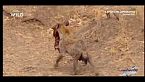 Africa predatori letali II - L'erede al trono