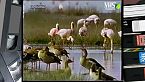 SuperQuark - Nakuru, un isola d'Africa