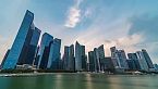Qatar: ¿Qué falta para una vida perfecta? - Caza de halcones, carreras de camellos, muelle de Doha