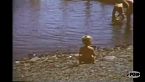 Vado al lago