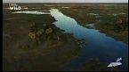Le meraviglie dell'Okavango - Speciale dietro le quinte