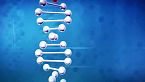 CRISPR - perché non lo usiamo su umani? + questioni etiche