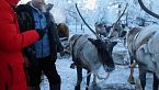 Yakutia, Rusia: ¿Cómo pastar renos a -40° C? - Exploro la vida de los pueblos nómadas