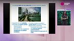 Leonor Rodríguez - Tecnología, sostenibilidad y agua - Congreso futuro