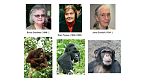 Artistas y científicos ante el descubrimiento de la naturaleza, por Santiago Aragón