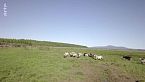 Siberia: Il permafrost, bomba ecologica