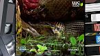 SuperQuark - Venezuela, terra dell'anaconda