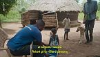 Uganda: cani per superare il trauma della guerra - 360° Reportage