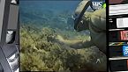 Jacques Cousteau, La grande avventura del mare - Il mondo del silenzio