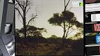 I galagoni - I folletti delle foreste africane