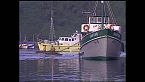 La senda de los colonos del Río Puelo