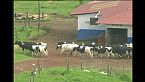 Irazú, la montaña del temblor y los retumbos