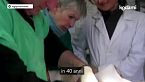 Dorothea Friz e la Lega Pro Animale: le sue battaglie per i cani randagi nel casertano