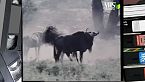 L'anno dello gnu