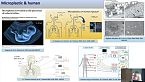 Microplastiche: origine, valutazione della presenza nell’ambiente e strategie di mitigazione