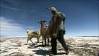 Sobrevivir en los Andes: Las condiciones más duras de la naturaleza