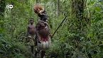 Explorando la selva tropical de Papúa Nueva Guinea