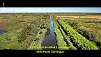 Camarga: fragile e selvaggia - Regno dell'acqua dolce