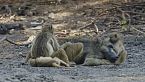 Kanga Pan: La charca embrujada de África