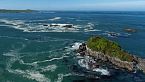 Chile - Un viaje salvaje - E02 - Ballena azul