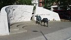 Compagni di trincea: Animali in guerra