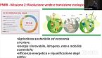 La transizione ecologica e il ruolo dell’università