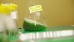 Bioplástico: Innovaciones contra el cambio climático